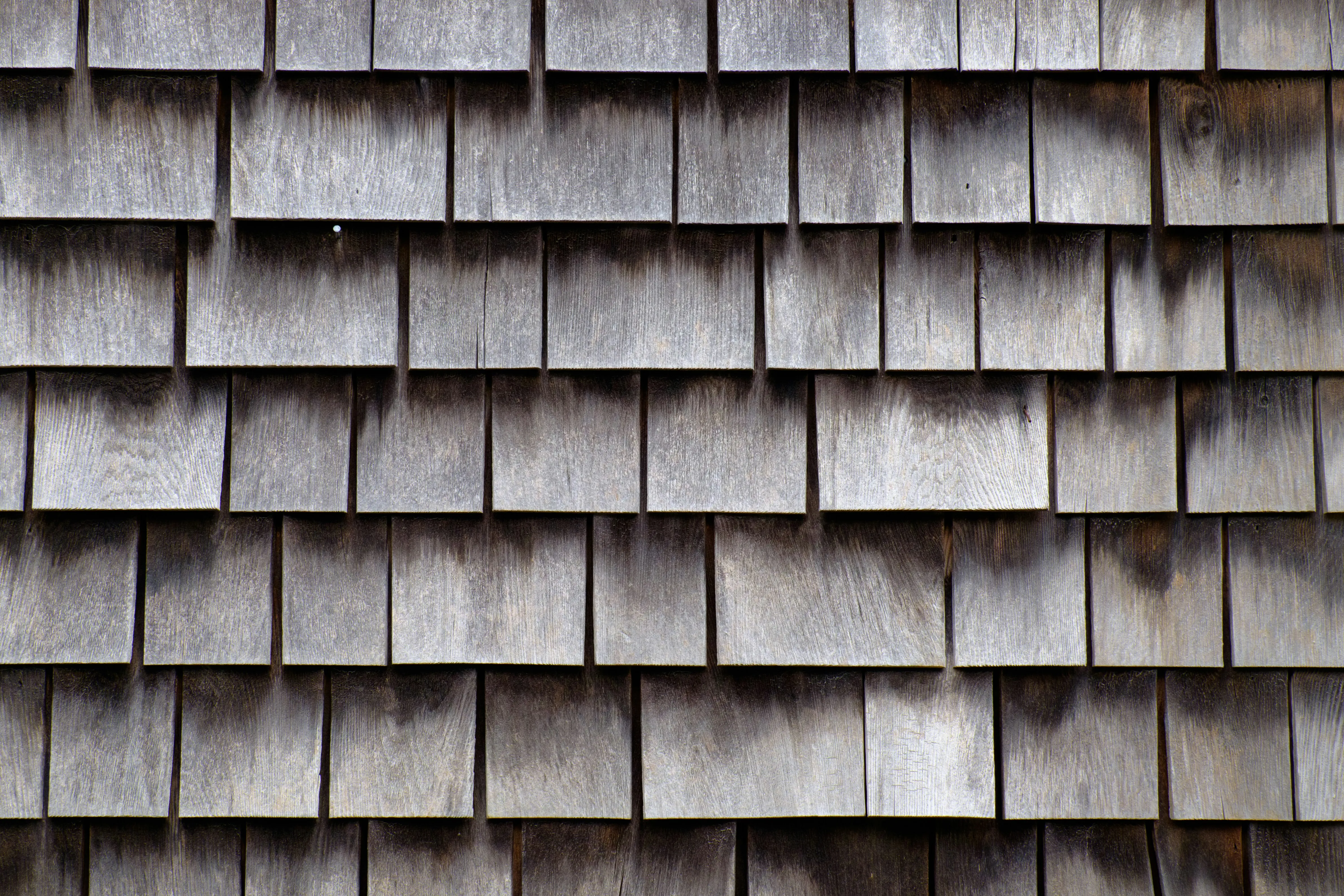 newShingles